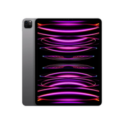 iPad Pro 11" 4GEN